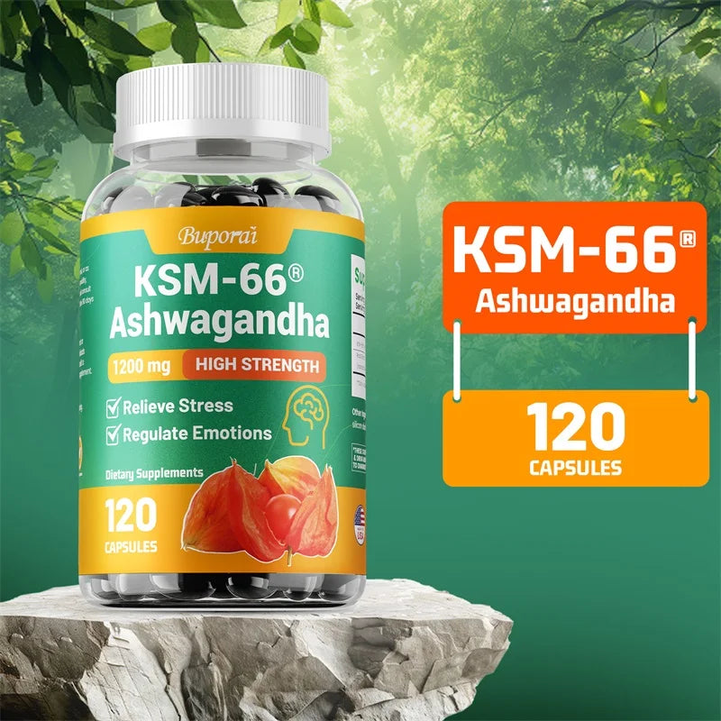 Ashwagandha KSM-66 600mg 60 cápsulas - Nation Fitness
